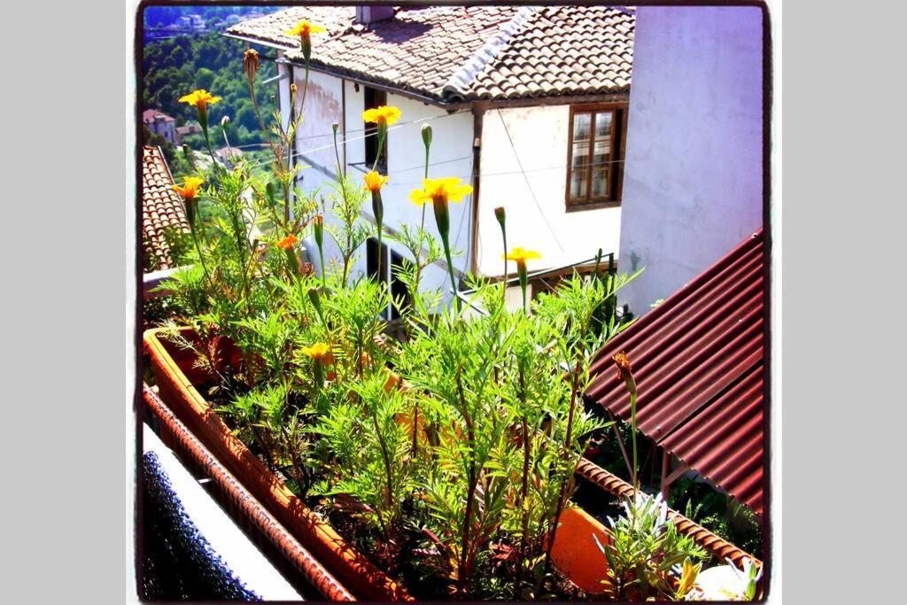 Authentic Guest Stay In The Heart Of Veliko Tarnovo Студио С Изглед Към Царевец 외부 사진