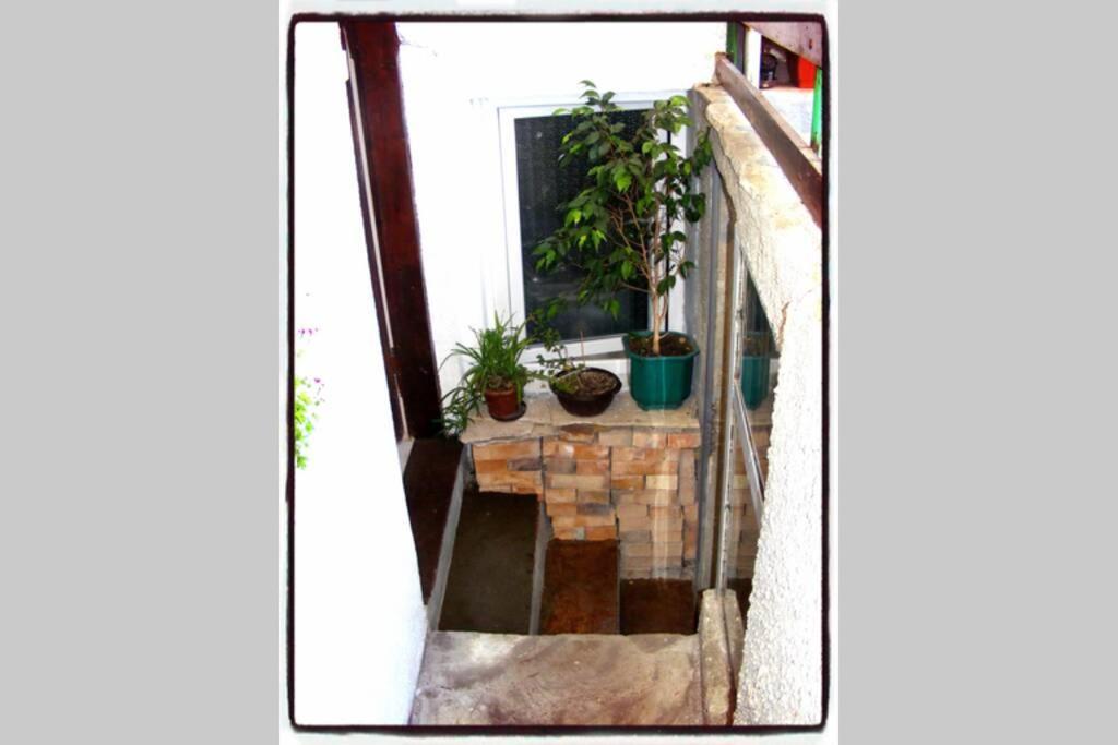 Authentic Guest Stay In The Heart Of Veliko Tarnovo Студио С Изглед Към Царевец 외부 사진
